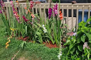 316 S 4000 West Rd, Kankakee, IL 60901 - Photo 27