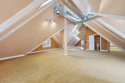 7729 S Lowe Avenue, Chicago, IL 60620 - Photo 17