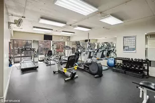 1100 N Lake Shore Dr, Chicago, IL 60611 - Photo 25