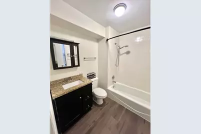 642 N Dearborn Street, Chicago, IL 60654 - Photo 11