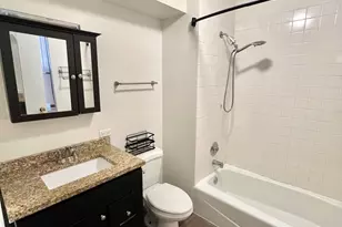 642 N Dearborn St, Chicago, IL 60654 - Photo 11