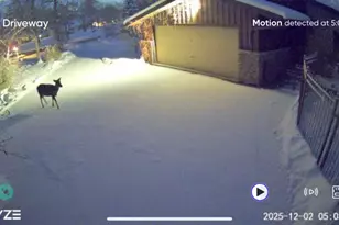 1403 Forest Dr, Glenview, IL 60025 - Photo 3