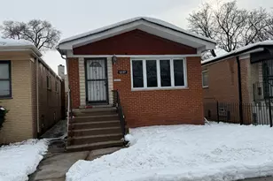 9710 S Chappel Ave, Chicago, IL 60617 - Photo 11