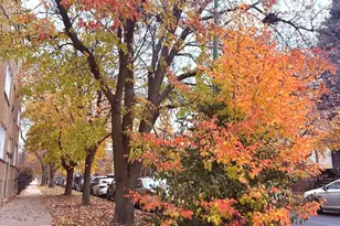 4034 N Monticello Ave, Chicago, IL 60618 - Photo 3