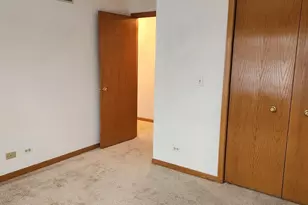 6808 Scotch Pine Trail, Darien, IL 60561 - Photo 39