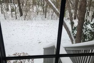 6808 Scotch Pine Trail, Darien, IL 60561 - Photo 27