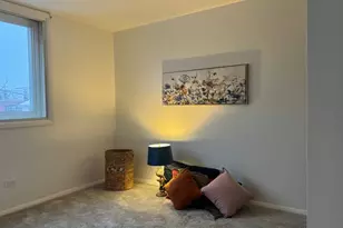 825 Pearson St, Des Plaines, IL 60016 - Photo 29