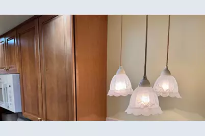 825 Pearson Street #3D, Des Plaines, IL 60016 - Photo 19