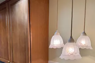 825 Pearson St, Des Plaines, IL 60016 - Photo 19