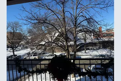 825 Pearson Street #3D, Des Plaines, IL 60016 - Photo 31