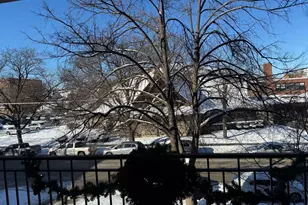 825 Pearson St, Des Plaines, IL 60016 - Photo 31