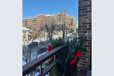 825 Pearson Street #3D, Des Plaines, IL 60016 - Photo 35