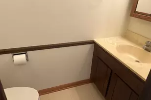 626 Terry Ct, Roselle, IL 60172 - Photo 13