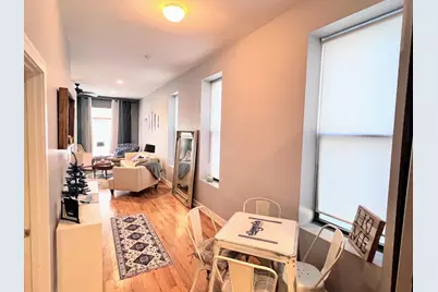 113 S Paulina Street #3, Chicago, IL 60612 - Photo 9