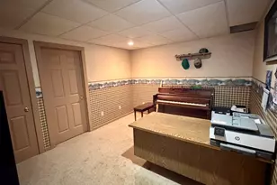 9120 Spring Valley Rd, Fulton, IL 61252 - Photo 41