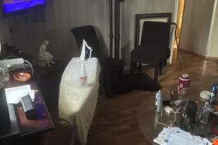 120 S Chestnut Ln, Glenwood, IL 60425 - Photo 25