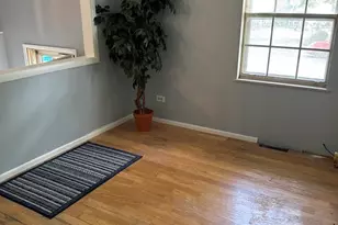 120 S Chestnut Ln, Glenwood, IL 60425 - Photo 3