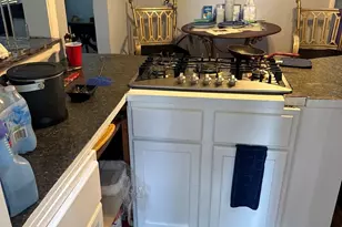 120 S Chestnut Ln, Glenwood, IL 60425 - Photo 9