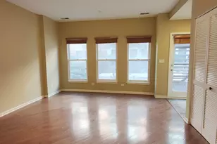 819 W Village Ct, Chicago, IL 60608 - Photo 19