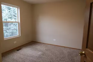 191 Mountain Laurel Ct, Romeoville, IL 60446 - Photo 21