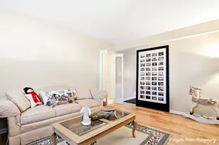 1073 Poplar Ct, Lake Zurich, IL 60047 - Photo 21