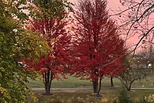 [Address not provided], Bolingbrook, IL 60490 - Photo 53