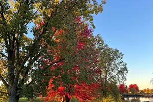 [Address not provided], Bolingbrook, IL 60490 - Photo 45