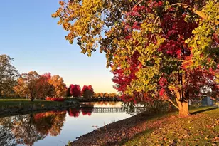 [Address not provided], Bolingbrook, IL 60490 - Photo 47