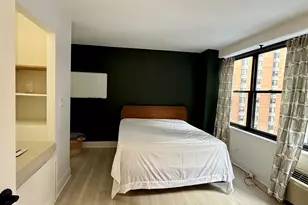 850 N Dewitt Pl, Chicago, IL 60611 - Photo 21