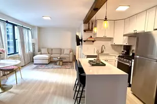 850 N Dewitt Pl, Chicago, IL 60611 - Photo 7