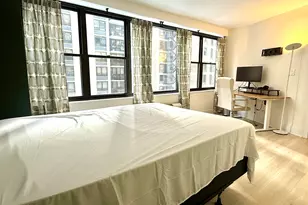 850 N Dewitt Pl, Chicago, IL 60611 - Photo 19