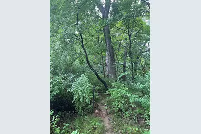 6 Walnut Drive, Putnam, IL 61560 - Photo 3