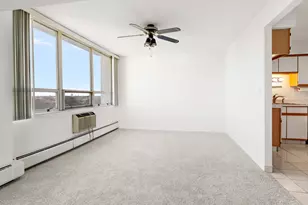 8809 Golf Rd, Niles, IL 60714 - Photo 9