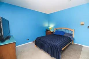 3203 Elizabeth St, Marengo, IL 60152 - Photo 17