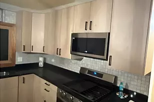 711 N Northwest Hwy, Park Ridge, IL 60068 - Photo 11