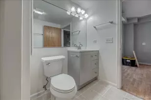 1041 Susan Collins Ln, Oak Park, IL 60302 - Photo 13