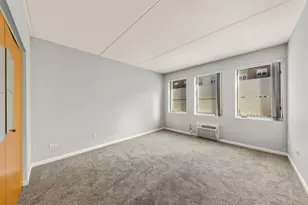 1041 Susan Collins Ln, Oak Park, IL 60302 - Photo 11