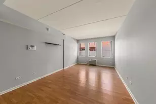 1041 Susan Collins Ln, Oak Park, IL 60302 - Photo 3