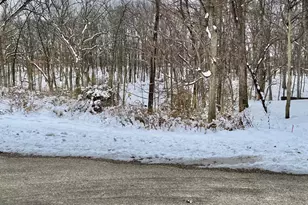 17 Carribean Dr, Putnam, IL 61560 - Photo 1