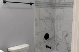 3925 S Indiana Ave, Chicago, IL 60653 - Photo 9