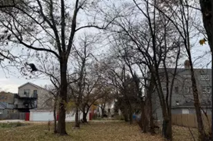 1338 S Keeler Ave, Chicago, IL 60623 - Photo 1