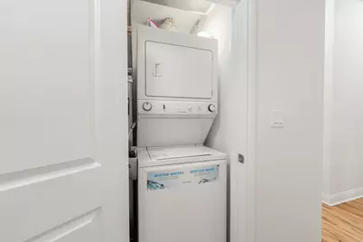 2354 S Oakley Avenue #B2, Chicago, IL 60608 - Photo 19