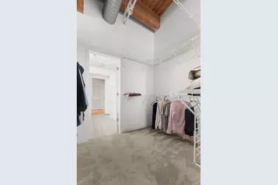 360 W Illinois Street #424, Chicago, IL 60654 - Photo 11