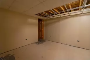 24751 Rosewood Ln, Manhattan, IL 60442 - Photo 43