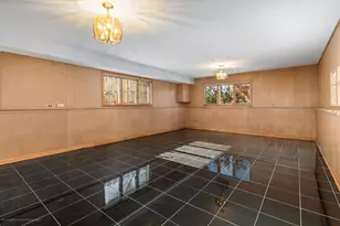 9043 Oriole Ave, Morton Grove, IL 60053 - Photo 23