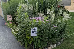 405 S Fairfield Ave, Lombard, IL 60148 - Photo 35