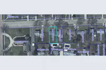 313 E Lincoln Street, Mount Morris, IL 61054 - Photo 19