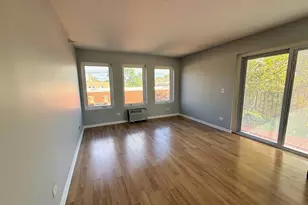 1041 Susan Collins Ln, Oak Park, IL 60302 - Photo 13