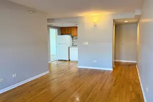 1041 Susan Collins Ln, Oak Park, IL 60302 - Photo 5