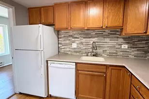 1041 Susan Collins Ln, Oak Park, IL 60302 - Photo 9